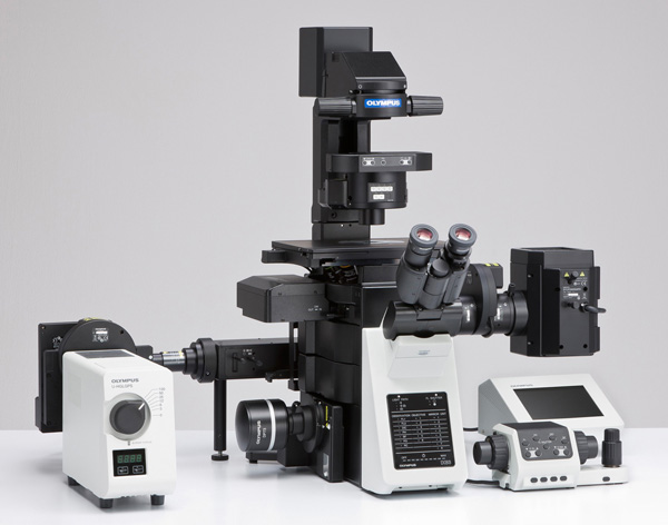 Olympus IX83 Inverted Motorized Microscope